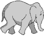 preview of Elephant_1.gif
