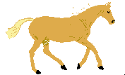 preview of Horse_10.gif