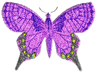 preview of Butterfly_Graphic_1.gif