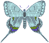 preview of Butterfly_Graphic_11.gif