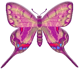 preview of Butterfly_Graphic_12.gif