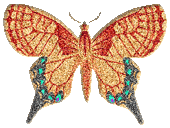 preview of Butterfly_Graphic_2.gif