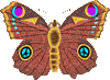 preview of Butterfly_Graphic_20.gif