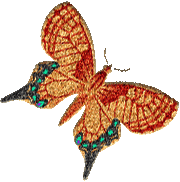 preview of Butterfly_Graphic_3.gif
