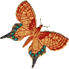 preview of Butterfly_Graphic_9.gif