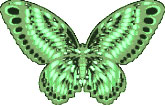 preview of Butterfly_Green_2.jpg