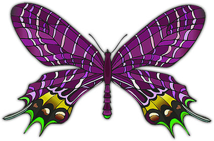 preview of Colors_Butterfly.jpg