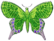 preview of Green_Butterfly.gif